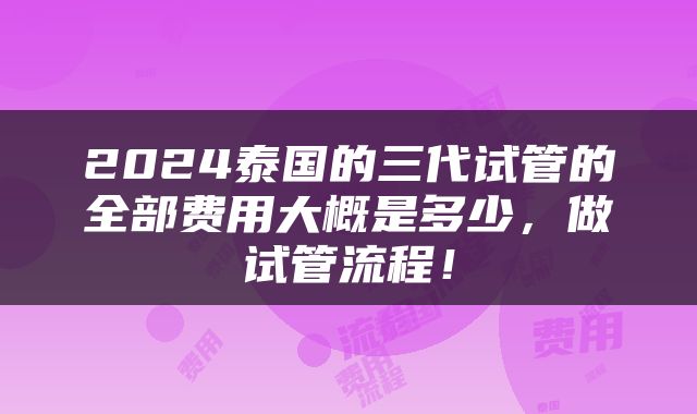 2024泰国的三代试管的全部费用大概是多少，做试管流程！