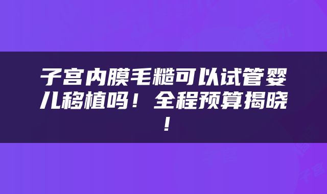 子宫内膜毛糙可以试管婴儿移植吗！全程预算揭晓！