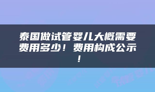 泰国做试管婴儿大概需要费用多少！费用构成公示！