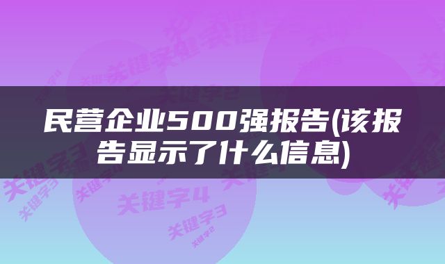 民营企业500强报告(该报告显示了什么信息)