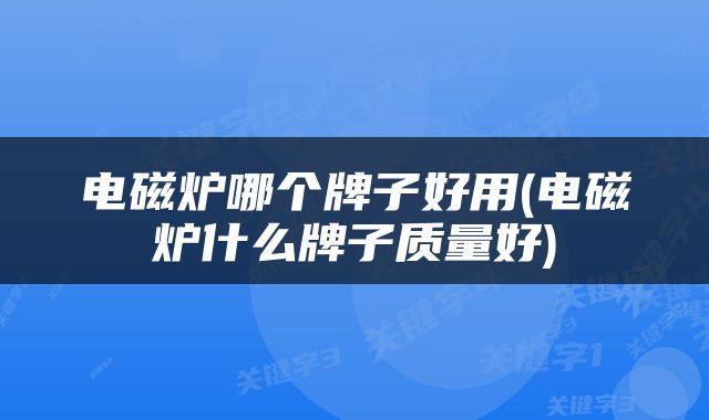 电磁炉哪个牌子好用(电磁炉什么牌子质量好)