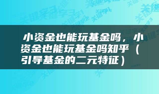  小资金也能玩基金吗，小资金也能玩基金吗知乎（引导基金的二元特征） 