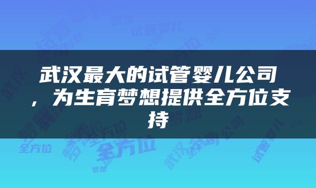武汉最大的试管婴儿公司，为生育梦想提供全方位支持