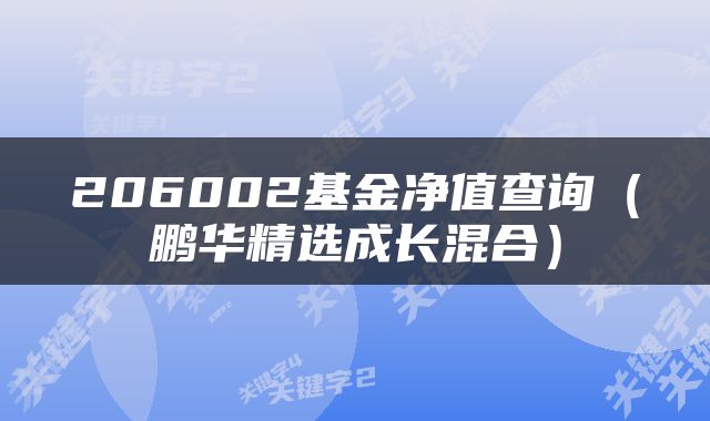 206002基金净值查询（鹏华精选成长混合）