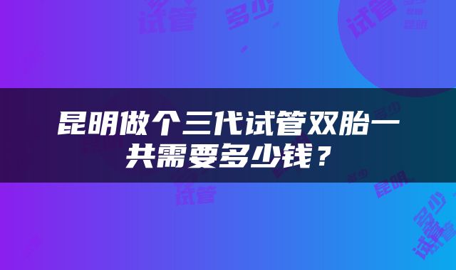 昆明做个三代试管双胎一共需要多少钱？