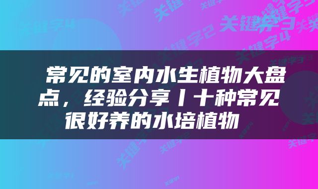  常见的室内水生植物大盘点，经验分享丨十种常见很好养的水培植物 