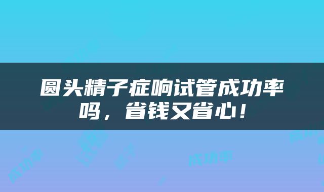 圆头精子症响试管成功率吗，省钱又省心！