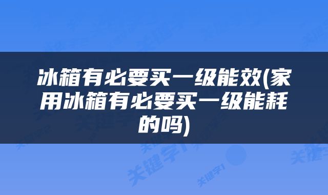 冰箱有必要买一级能效(家用冰箱有必要买一级能耗的吗)
