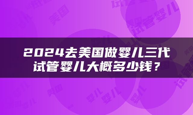 2024去美国做婴儿三代试管婴儿大概多少钱？