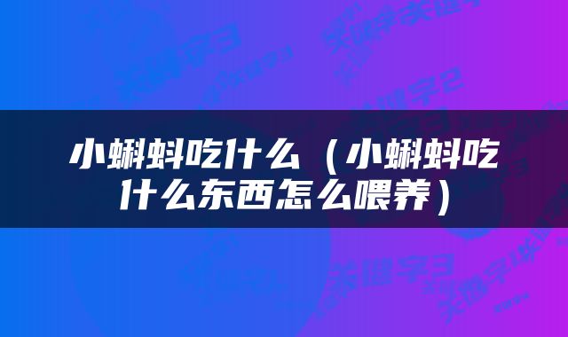 小蝌蚪吃什么（小蝌蚪吃什么东西怎么喂养）