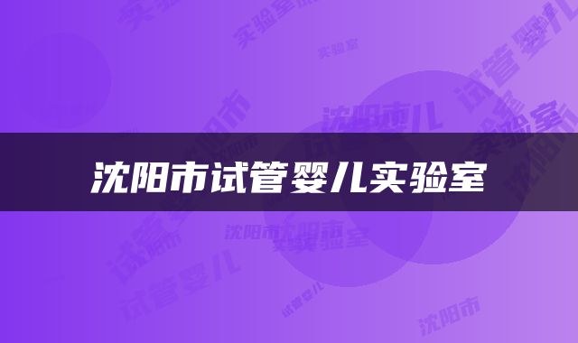 沈阳市试管婴儿实验室