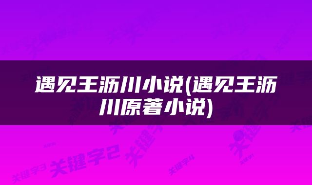 遇见王沥川小说(遇见王沥川原著小说)