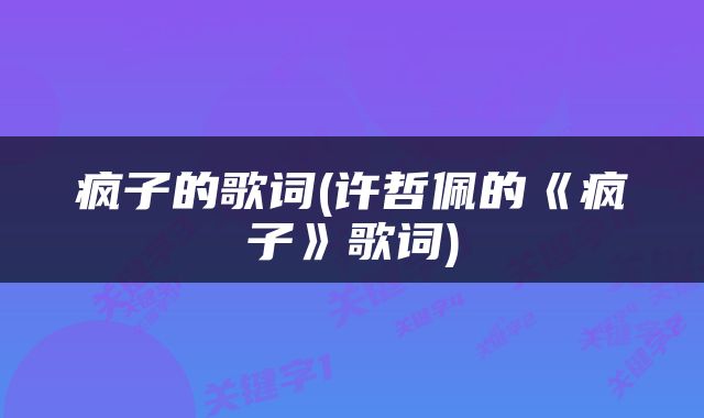 疯子的歌词(许哲佩的《疯子》歌词)
