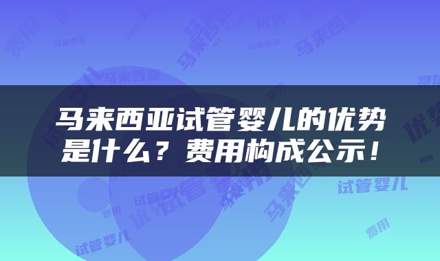 马来西亚试管婴儿的优势是什么？费用构成公示！