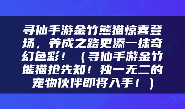 寻仙手游金竹熊猫惊喜登场，养成之路更添一抹奇幻色彩！（寻仙手游金竹熊猫抢先知！独一无二的宠物伙伴即将入手！）