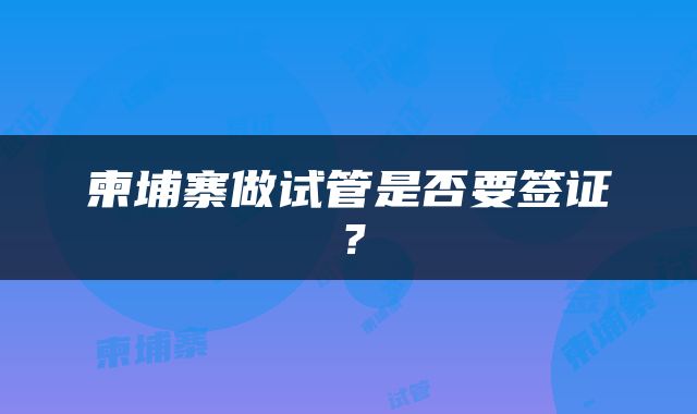 柬埔寨做试管是否要签证？