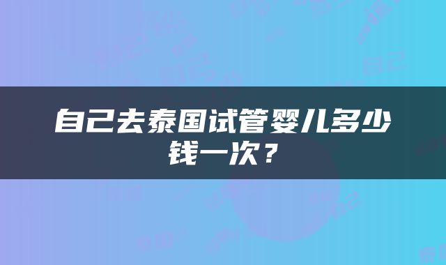 自己去泰国试管婴儿多少钱一次？