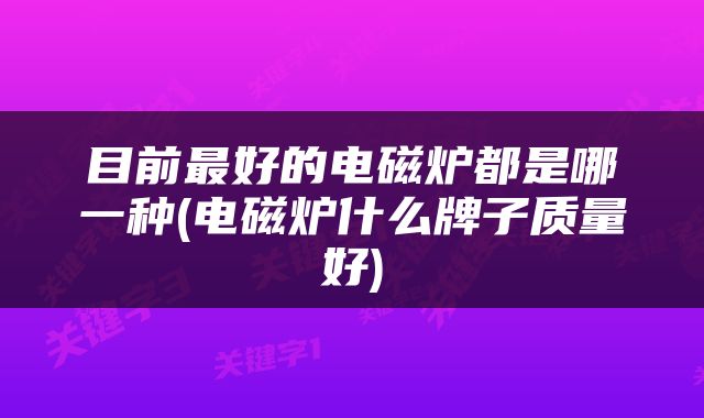 目前最好的电磁炉都是哪一种(电磁炉什么牌子质量好)