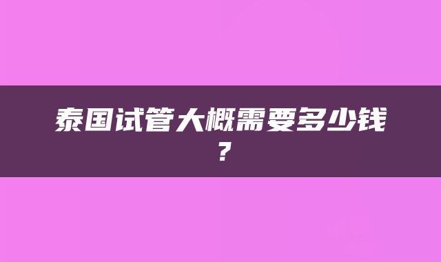 泰国试管大概需要多少钱？