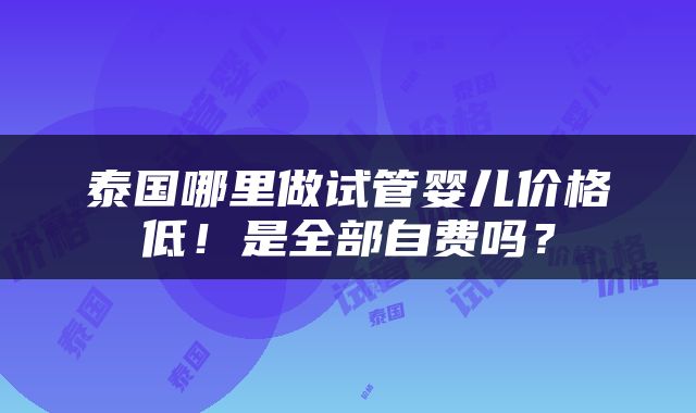 泰国哪里做试管婴儿价格低！是全部自费吗？