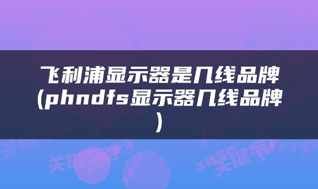 飞利浦显示器是几线品牌(phndfs显示器几线品牌)