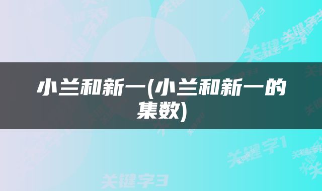 小兰和新一(小兰和新一的集数)