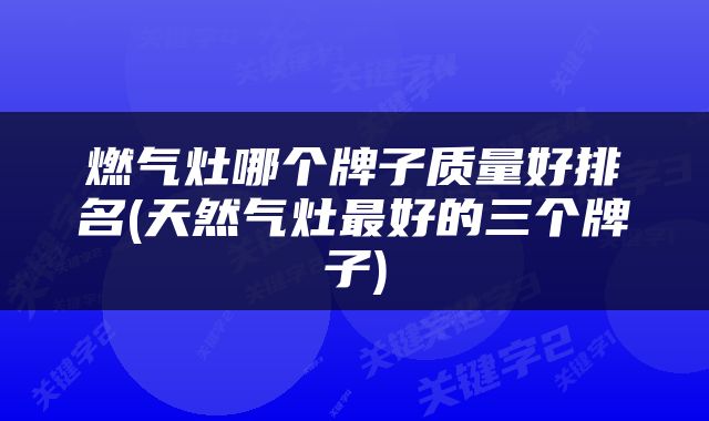 燃气灶哪个牌子质量好排名(天然气灶最好的三个牌子)