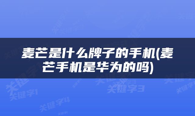 麦芒是什么牌子的手机(麦芒手机是华为的吗)