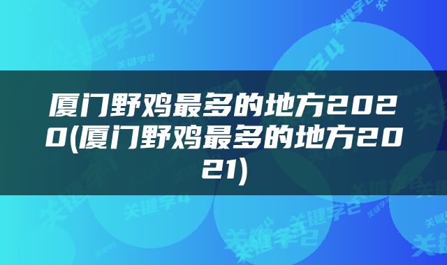 厦门野鸡最多的地方2020(厦门野鸡最多的地方2021)