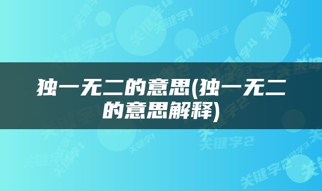 独一无二的意思(独一无二的意思解释)