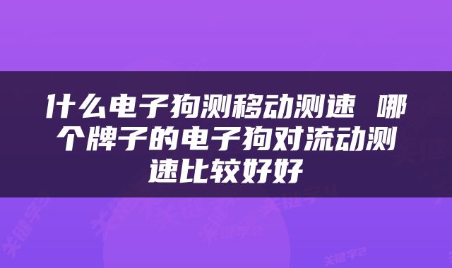 什么电子狗测移动测速 哪个牌子的电子狗对流动测速比较好好