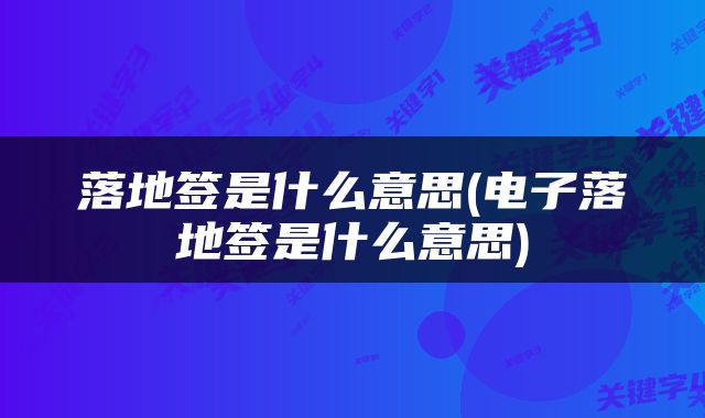 落地签是什么意思(电子落地签是什么意思)