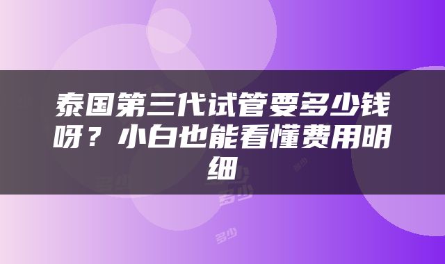 泰国第三代试管要多少钱呀？小白也能看懂费用明细