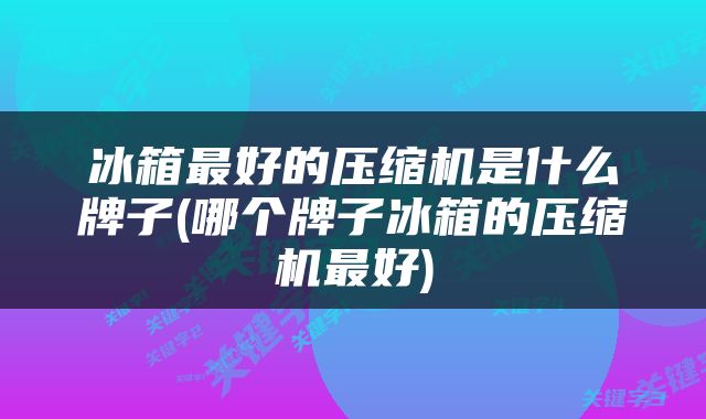 冰箱最好的压缩机是什么牌子(哪个牌子冰箱的压缩机最好)