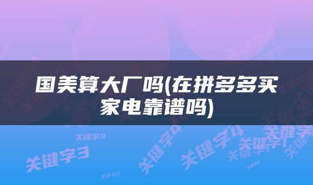 国美算大厂吗(在拼多多买家电靠谱吗)