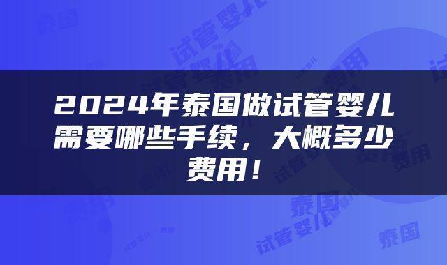 2024年泰国做试管婴儿需要哪些手续，大概多少费用！
