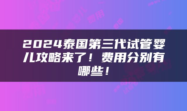 2024泰国第三代试管婴儿攻略来了！费用分别有哪些！