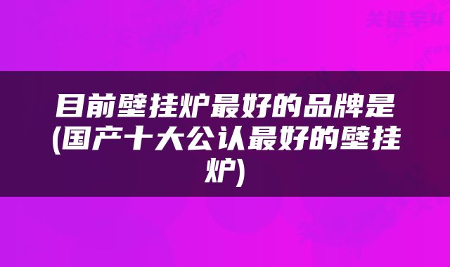 目前壁挂炉最好的品牌是(国产十大公认最好的壁挂炉)