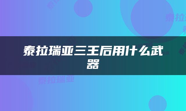 泰拉瑞亚三王后用什么武器