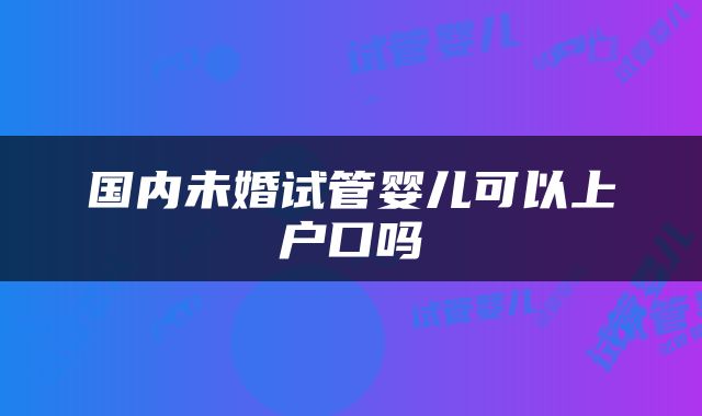 国内未婚试管婴儿可以上户口吗