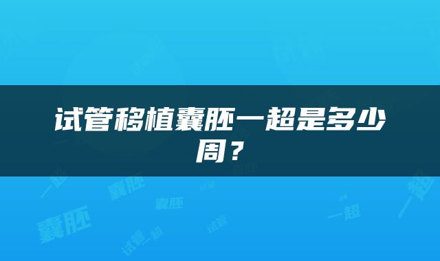 试管移植囊胚一超是多少周？