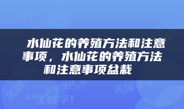  水仙花的养殖方法和注意事项，水仙花的养殖方法和注意事项盆栽 