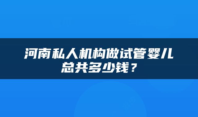 河南私人机构做试管婴儿总共多少钱？