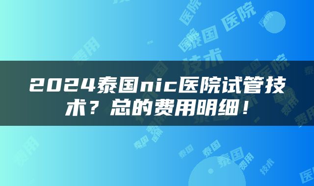2024泰国nic医院试管技术？总的费用明细！