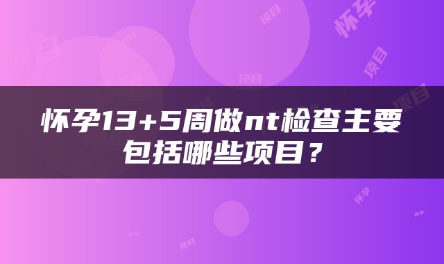 怀孕13+5周做nt检查主要包括哪些项目？