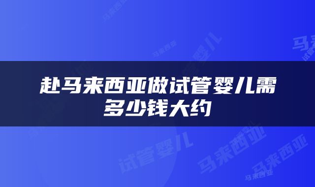 赴马来西亚做试管婴儿需多少钱大约