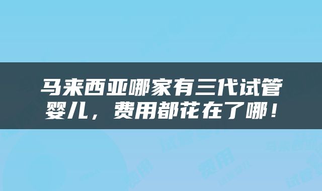 马来西亚哪家有三代试管婴儿，费用都花在了哪！