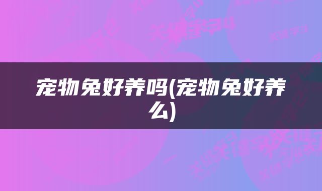 宠物兔好养吗(宠物兔好养么)