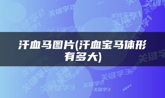 汗血马图片(汗血宝马体形有多大)