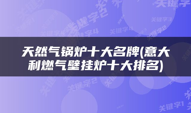天然气锅炉十大名牌(意大利燃气壁挂炉十大排名)